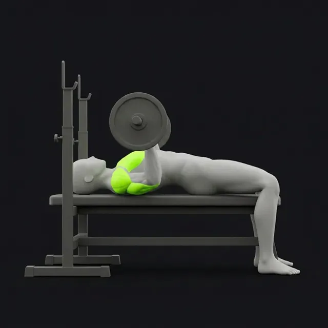 Bench press, bar lowered to the chest