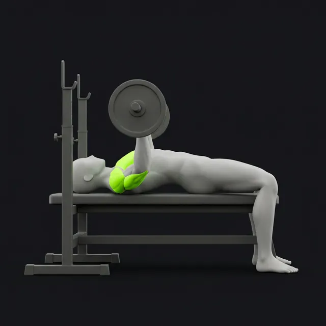 Bench press, bar held above the chest with arms extended